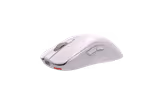BenQ Zowie FK1-DW mouse in White, front view