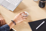Razer Pro Click mouse in White